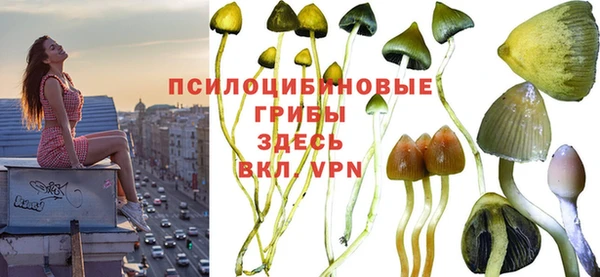 герыч Корсаков