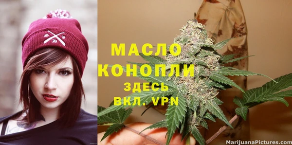 дмт Костерёво