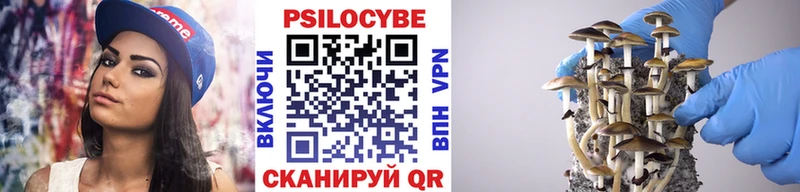 Купить  Бавлы  Псилоцибиновые грибы Magic Shrooms 